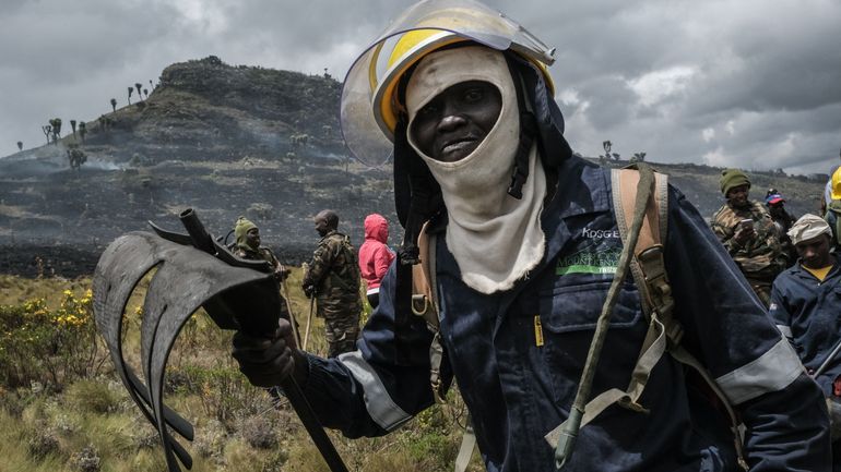 Kenya : l'important incendie au parc national des Aberdare est maîtrisé