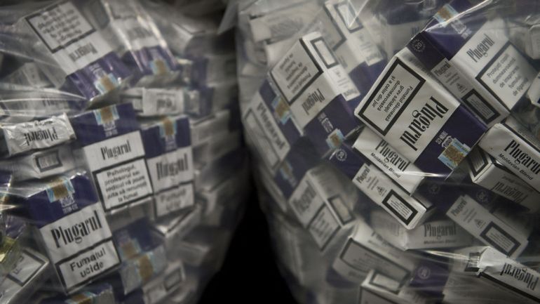 Plus de quatre millions de cigarettes de contrefaçon saisies à Dixmude