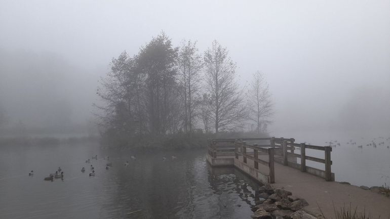 Météo en Belgique : temps gris ce dimanche, accompagné de brouillard et d'un peu de bruine