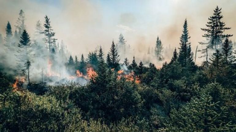 Des centaines d'évacuations en raison de feux de forêt au Canada