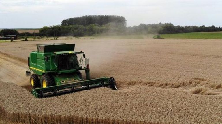 La culture des céréales lourdement frappée par les mauvaises conditions météo en 2023