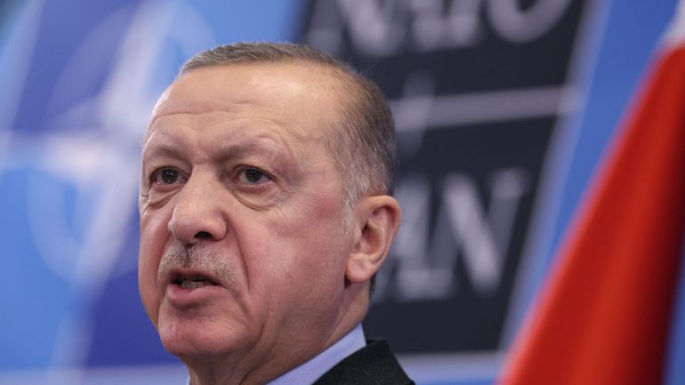 Elargissement de l'OTAN : R.T. Erdogan confirme ses inquiétudes, la Suède argumente sur sa vision du PKK