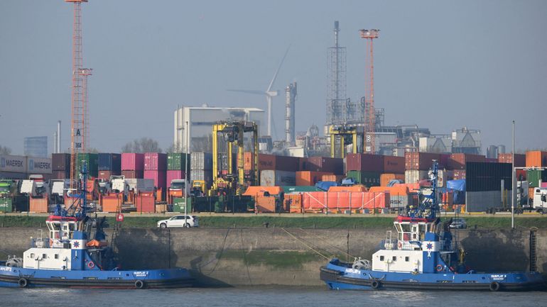 Plus de 130 arrestations liées à la drogue au port d'Anvers depuis le début de l'année