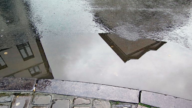 Sécheresse en Wallonie : les récentes précipitations ont permis de retrouver une situation proche de la normale