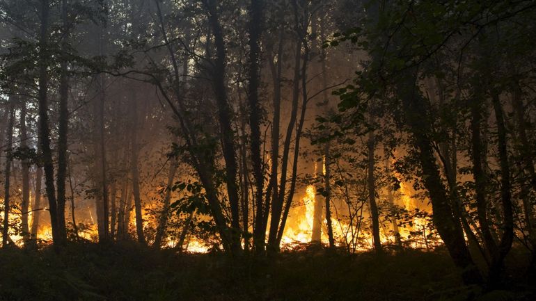Incendies : une centaine d'hectares de forêts et de broussailles partis en fumée dans le Jura