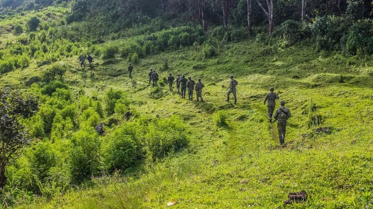RDC: un garde des Virunga tué lors d'une attaque armée, le M23 soupçonné