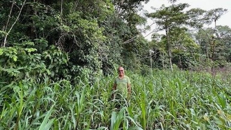 « Ici le monde » : Equateur, tout plaquer pour devenir semeur de forêt