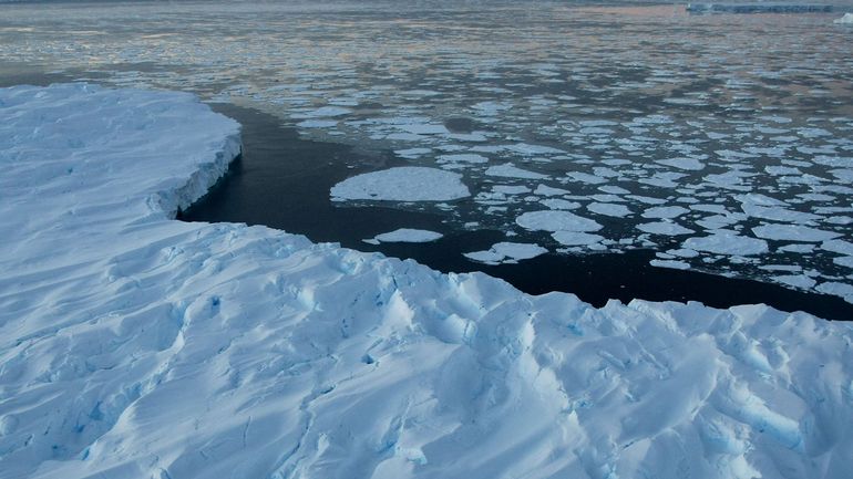 Climat : une plateforme de glace de la taille de Rome s'effondre en Antarctique