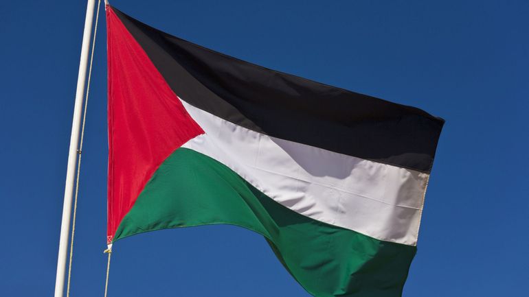 Reconnaissance de la Palestine : après le plan proposé par Emmanuel Macron, le débat relancé au sein de l'Arizona