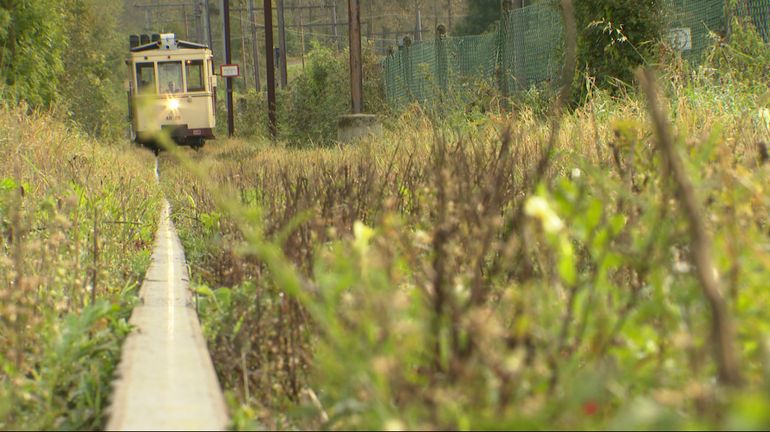 Thuin : désherber la ligne du tramway sans pesticides pose problème