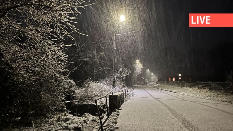 Direct - chutes de neige en Belgique : les transports en commun fortement perturbés ce jeudi matin