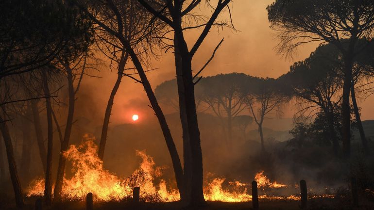 Incendie dans le Var, en France : un corps calciné retrouvé, le feu n'est toujours pas maîtrisé