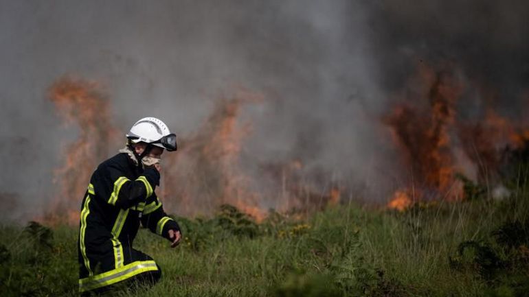 Incendies en Bretagne : plus de 300 hectares brûlés dans le Finistère et dans le Morbihan