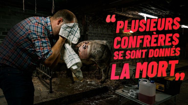 Une nuit avec un vétérinaire de campagne : "D’ici dix ans, on va avoir un gros problème"