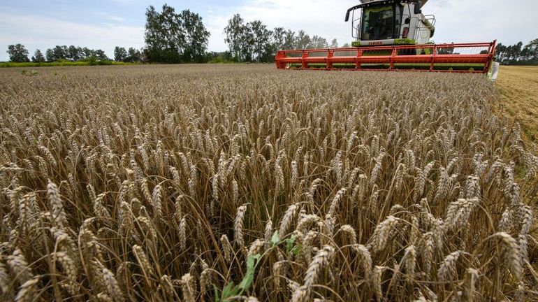 Guerre en Ukraine : la Russie suspend sa participation à l'accord sur les exportations de céréales