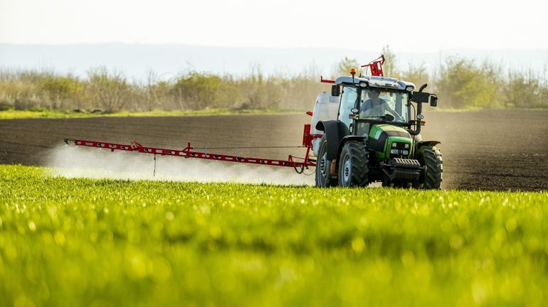 Le programme wallon de réduction des pesticides a atteint 80% de ses objectifs, le prochain est adopté en première lecture