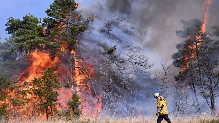 Les feux de forêt en Europe ont provoqué les émissions les plus élevées depuis 15 ans