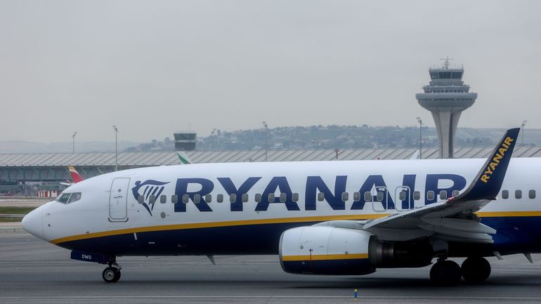 Les plateformes de réservation en ligne ne proposent plus de vols Ryanair