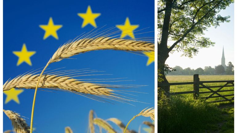 Colère du monde agricole : la Commission européenne adopte l'exemption aux obligations de jachères