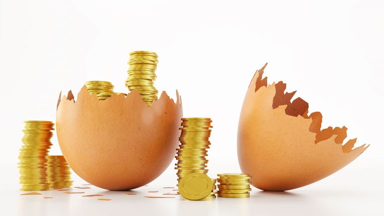 Rufs toujours plus chers, la poule aux oeufs d'or ?