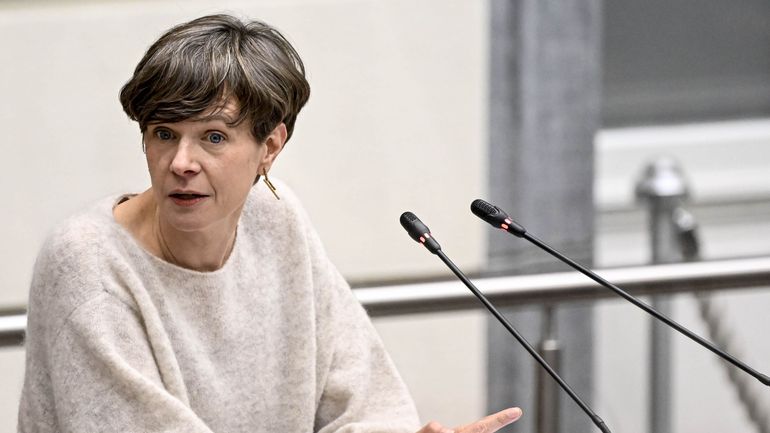 Google, Meta et TikTok contestent devant la Cour constitutionnelle le régime flamand d'encouragement à la production, annonce la ministre Cieltje Van Achter