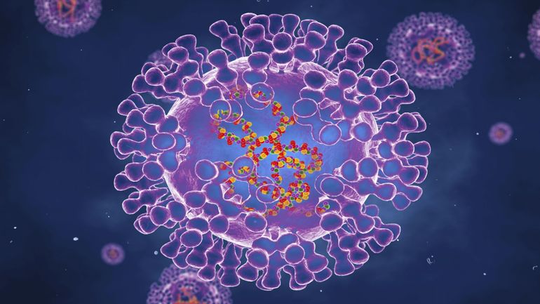 Un premier cas de variole du singe détecté en Russie