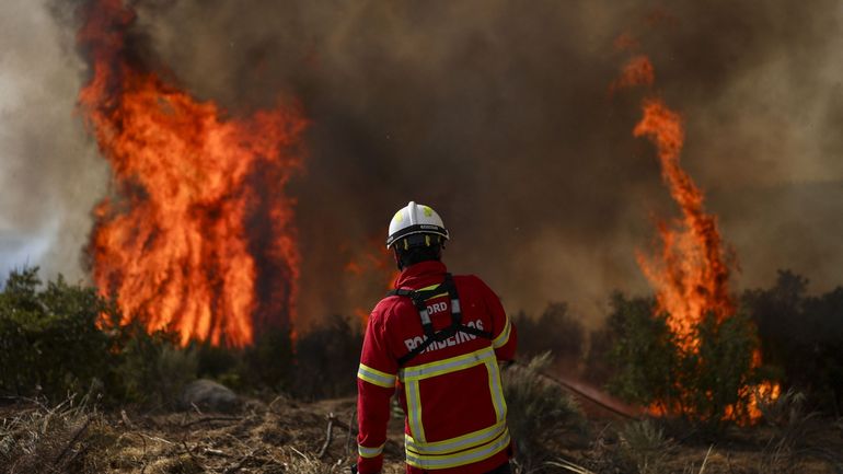 En pleine canicule, l'Europe étouffe et se bat contre les incendies