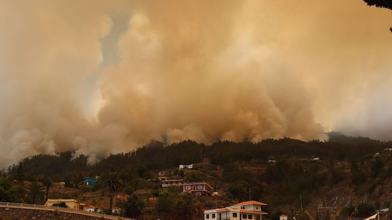 Canicule en Europe : au moins 2500 personnes évacuées à cause d'un feu de forêt sur La Palma (Canaries)