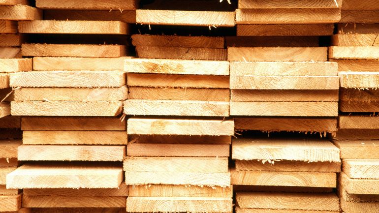 Guerre en Ukraine : une équipe internationale de chercheurs a mis au point des méthodes scientifiques pour vérifier la provenance du bois