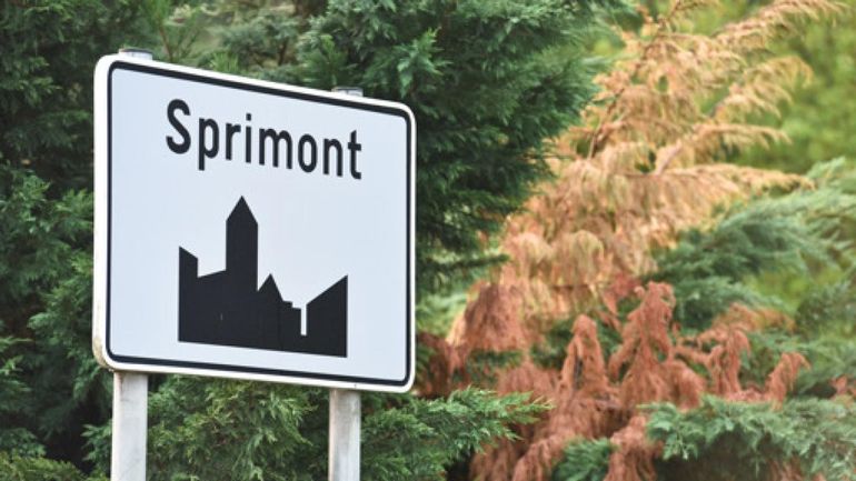 Cinq blessés dans un accident sur l'autoroute E25 à hauteur de Sprimont