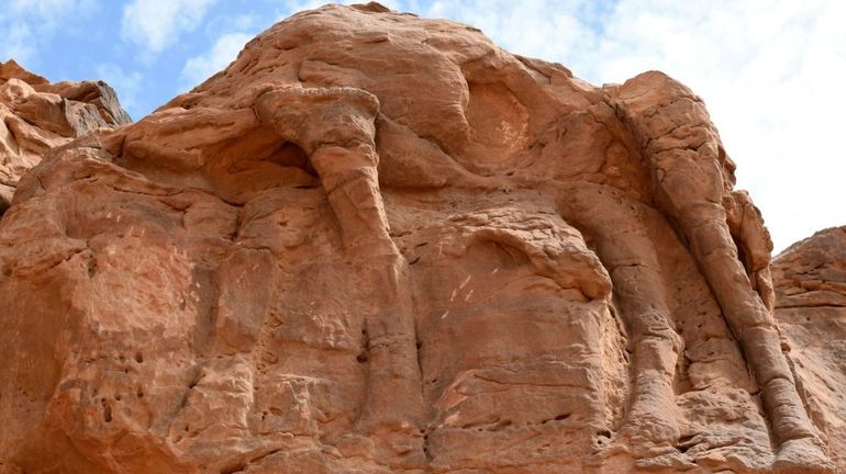 Les sculptures de dromadaires du désert saoudien ont plus de 7000 ans