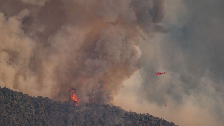 Incendie en France : 378 hectares brûlés dans la Drôme, le feu 