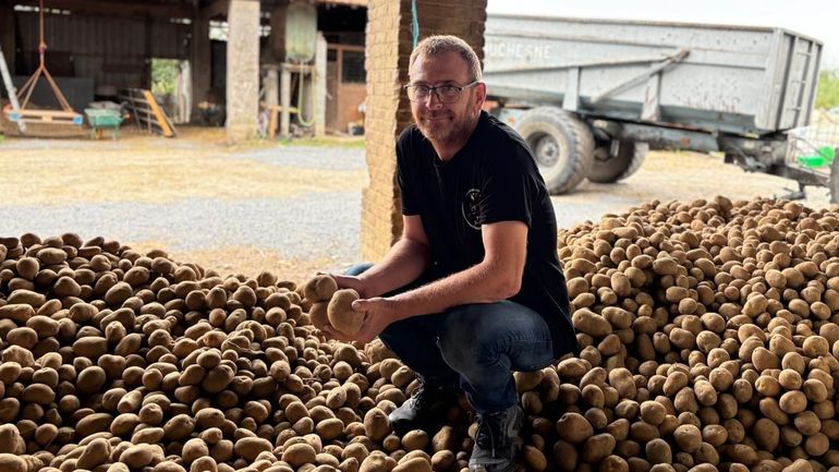 Un agriculteur tournaisien liquide ses pommes de terre à vingt centimes le kilo : "les laisser au champ, je ne voulais surtout pas faire !": "