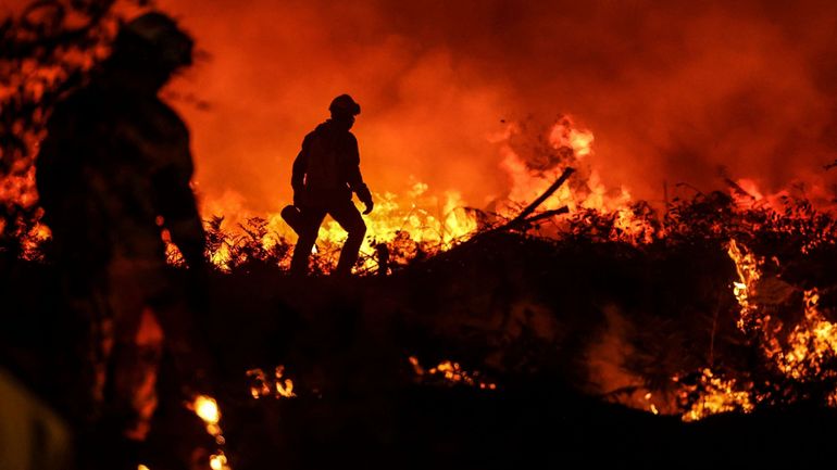 Feux de forêt : la France atteint déjà un record de surfaces brûlées, en pleine haute saison des feux