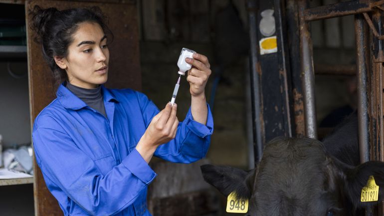 Une meilleure rémunération pour les vétérinaires indépendants chargés de mission pour l'AFSCA