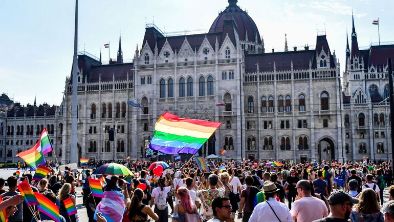 Droits des LGBT + en Hongrie : le PS dépose une proposition de résolution demandant de saisir la Cour de Justice européenne