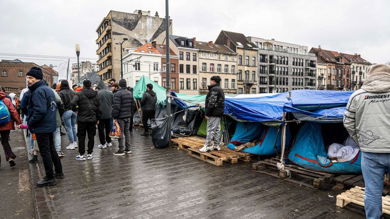 Crise de l'accueil : quelle est la capacité d'accueil de la Belgique pour les personnes qui demandent l'asile ? (carte interactive)