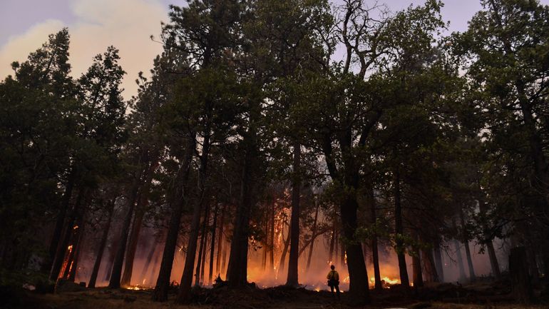 Incendies en Californie : un nouvel incendie de forêt menace des centaines d'habitations près de Los Angeles