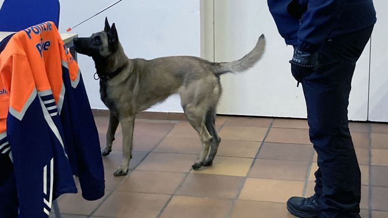 La police fédérale a entraîné le chien renifleur Luna à détecter des traces numériques