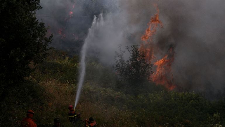 Italie: quatre avions européens pour aider la Sardaigne à combattre les incendies