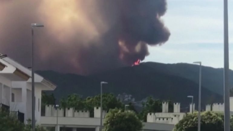 Espagne : 2000 personnes évacuées en raison d'un violent incendie dans la région de Málaga