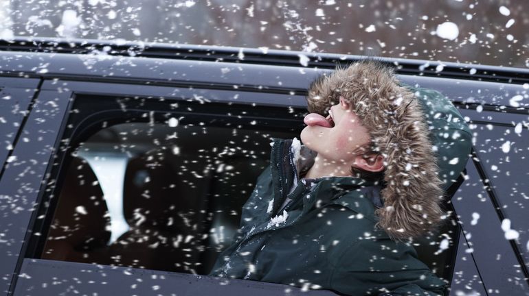 Provinces de Liège, Luxembourg, Namur& une fine couche de neige couvre une partie de la Wallonie