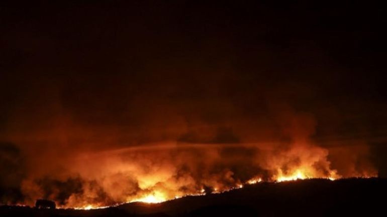 Feux de forêt en Europe : les incendies ont déjà ravagé quatre fois plus de nature que la moyenne