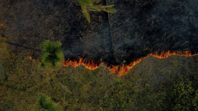 Feux de forêt au Brésil : l'Amazonie vit son pire premier semestre en 20 ans