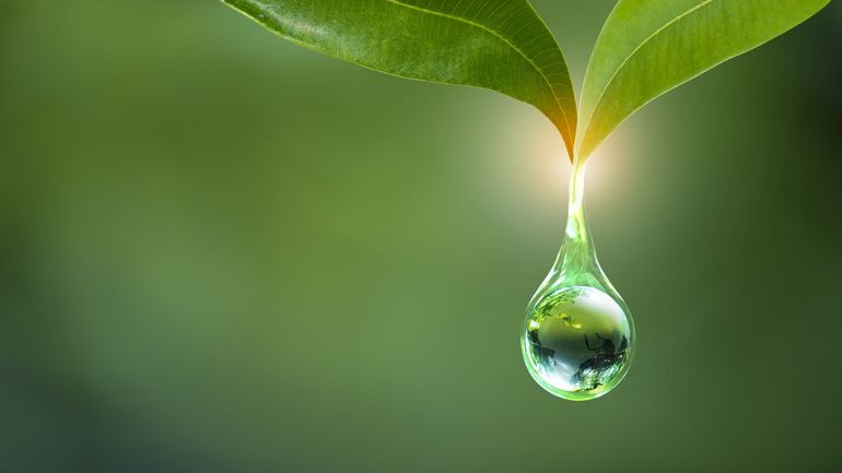 Il est urgent de régénérer le cycle de l’eau : quelles solutions pour agir rapidement ?