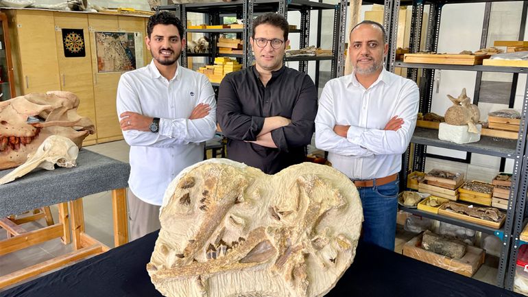 Egypte : découverte d'une des plus anciennes baleines d'Afrique, qui vivait il y a 41 millions d'années