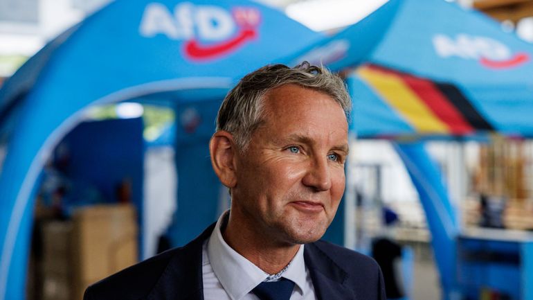 Allemagne : le président du parti d'extrême-droite AfD pourrait être jugé pour sédition