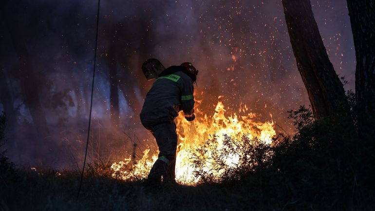 Feux de forêt en Grèce : les pompiers mobilisés dans le parc national de Dadia
