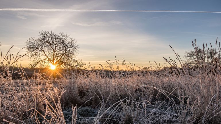 Météo en Belgique : ce mercredi s’annonce encore ensoleillé avec des maxima proches de 0°C