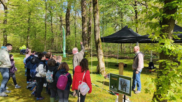 Charleroi : 500 élèves de primaires aux "Journées Forestières" pour découvrir les métiers du bois